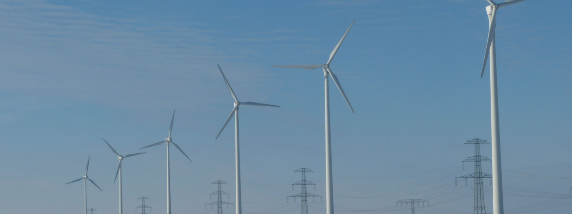 European Energy Manager- licensed for Egypt