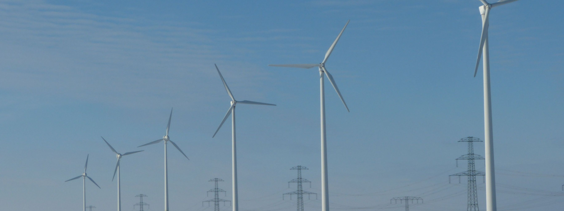 European Energy Manager- licensed for Egypt